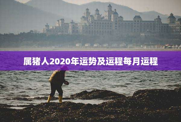 属猪人2020年运势及运程每月运程
