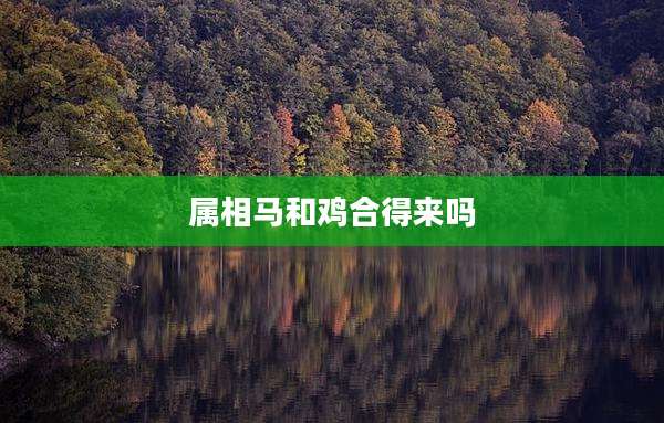 属相马和鸡合得来吗