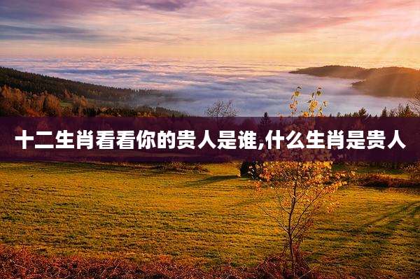 十二生肖看看你的贵人是谁,什么生肖是贵人