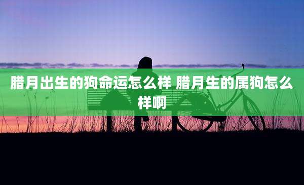 腊月出生的狗命运怎么样 腊月生的属狗怎么样啊