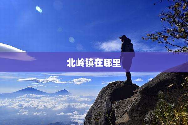 北岭镇在哪里