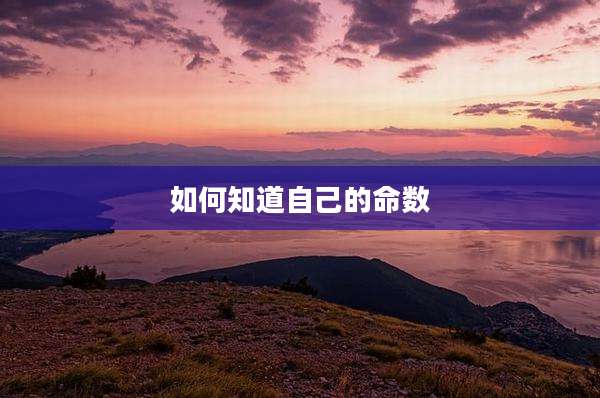 如何知道自己的命数