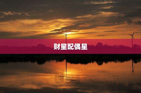 财星配偶星