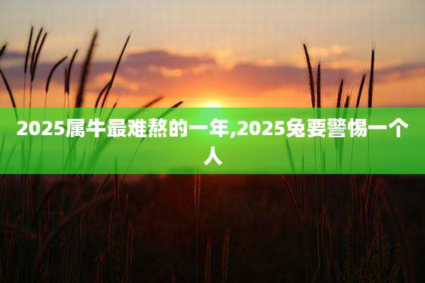 2025属牛最难熬的一年,2025兔要警惕一个人
