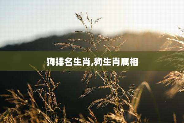 狗排名生肖,狗生肖属相