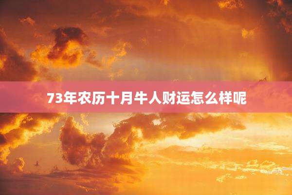 73年农历十月牛人财运怎么样呢