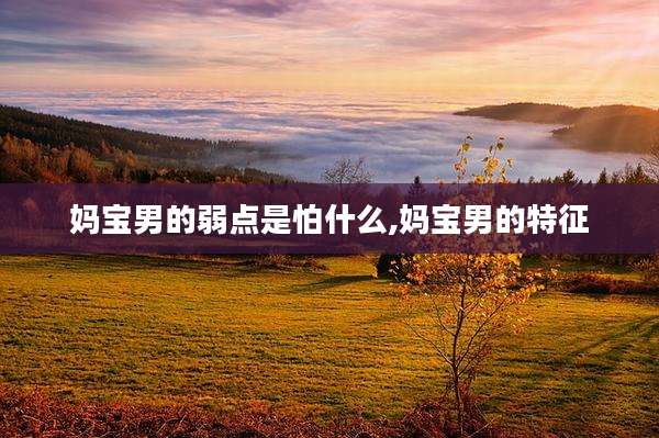 妈宝男的弱点是怕什么,妈宝男的特征