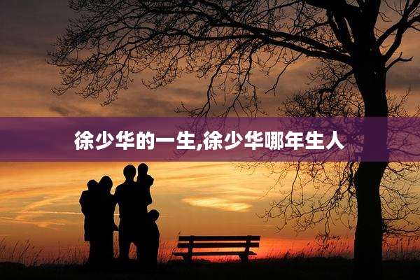 徐少华的一生,徐少华哪年生人