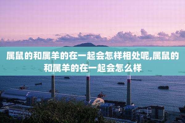 属鼠的和属羊的在一起会怎样相处呢,属鼠的和属羊的在一起会怎么样