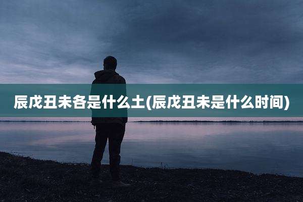 辰戊丑未各是什么土(辰戊丑未是什么时间)