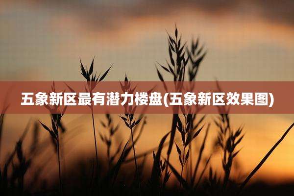 五象新区最有潜力楼盘(五象新区效果图)