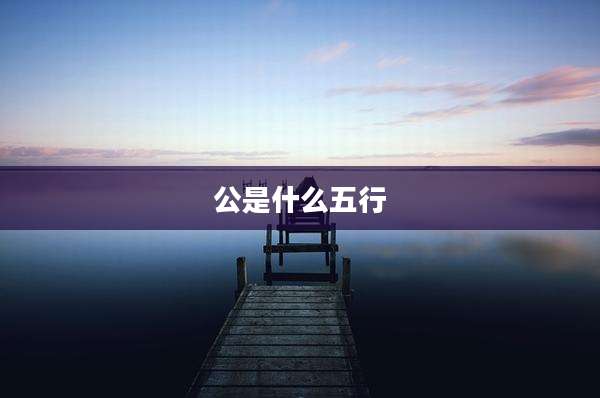 公是什么五行