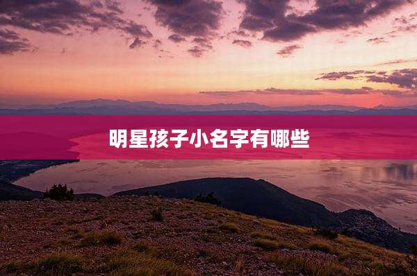 明星孩子小名字有哪些