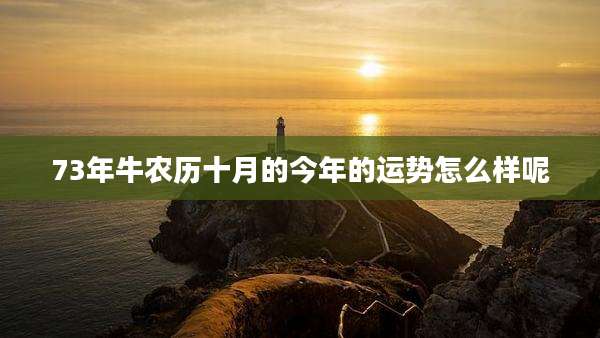 73年牛农历十月的今年的运势怎么样呢