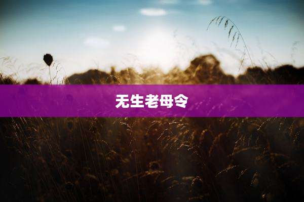 无生老母令