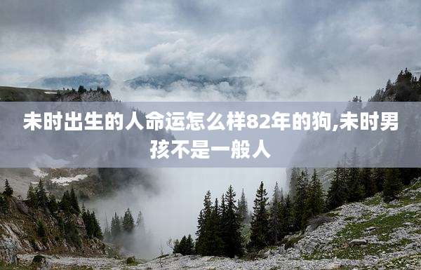 未时出生的人命运怎么样82年的狗,未时男孩不是一般人