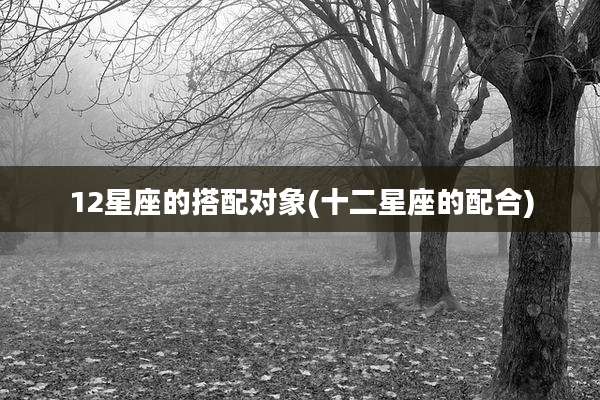 12星座的搭配对象(十二星座的配合)