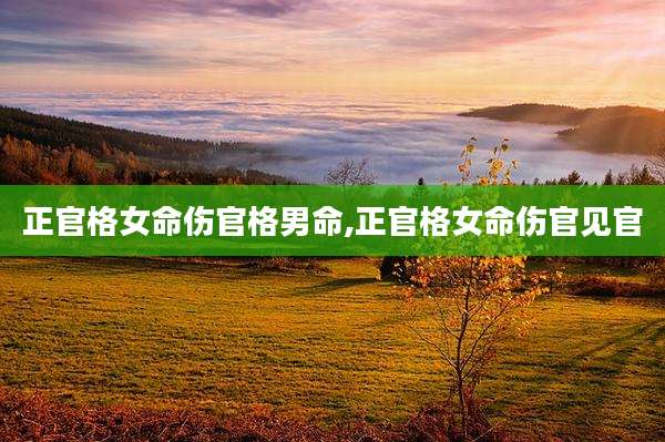 正官格女命伤官格男命,正官格女命伤官见官
