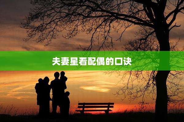夫妻星看配偶的口诀