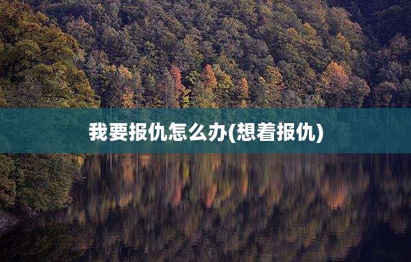 我要报仇怎么办(想着报仇)