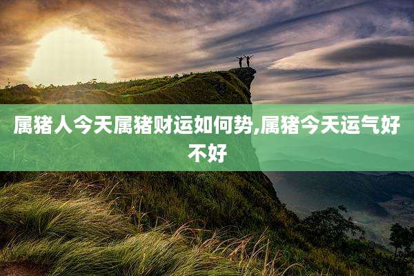 属猪人今天属猪财运如何势,属猪今天运气好不好