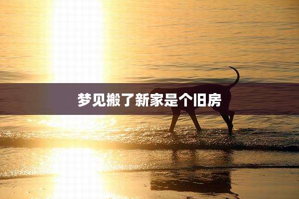 梦见搬了新家是个旧房