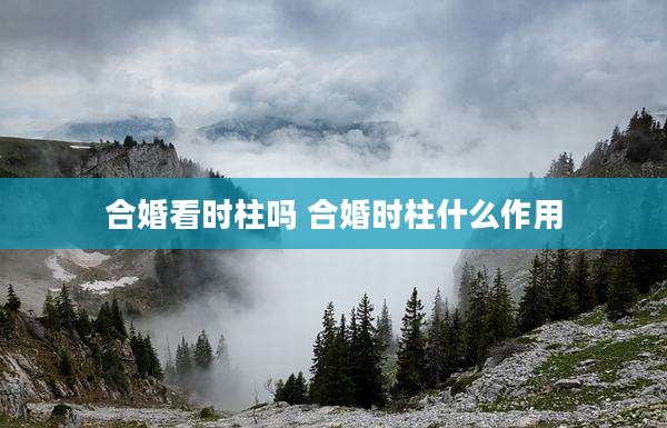 合婚看时柱吗 合婚时柱什么作用