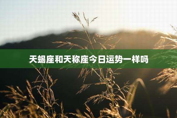 天蝎座和天称座今日运势一样吗