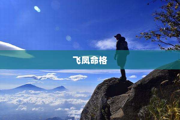 飞凤命格