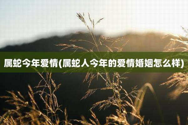 属蛇今年爱情(属蛇人今年的爱情婚姻怎么样)
