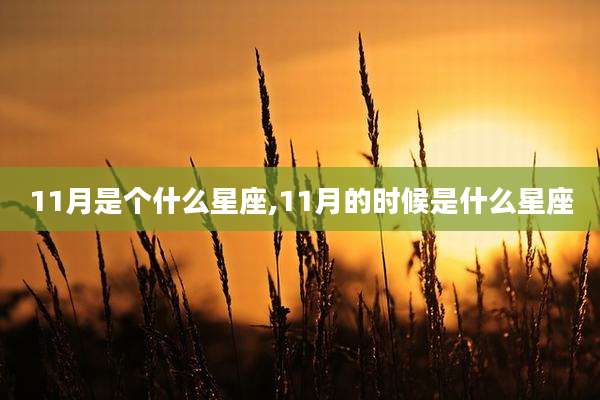 11月是个什么星座,11月的时候是什么星座