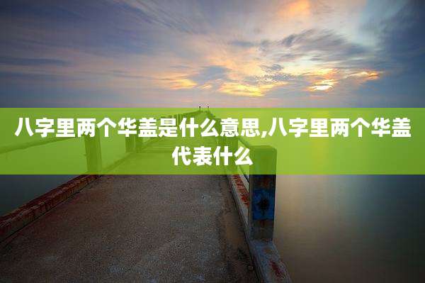 八字里两个华盖是什么意思,八字里两个华盖代表什么