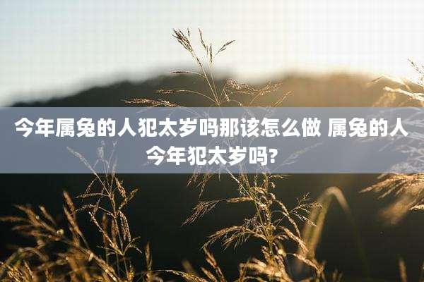 今年属兔的人犯太岁吗那该怎么做 属兔的人今年犯太岁吗?