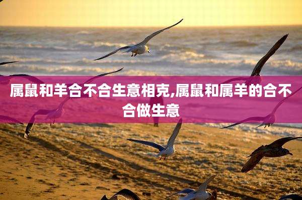 属鼠和羊合不合生意相克,属鼠和属羊的合不合做生意