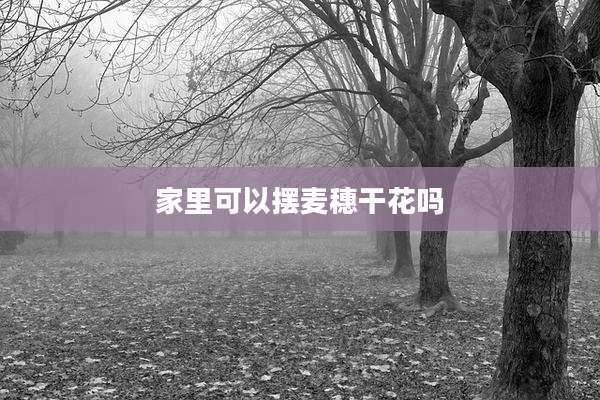 家里可以摆麦穗干花吗