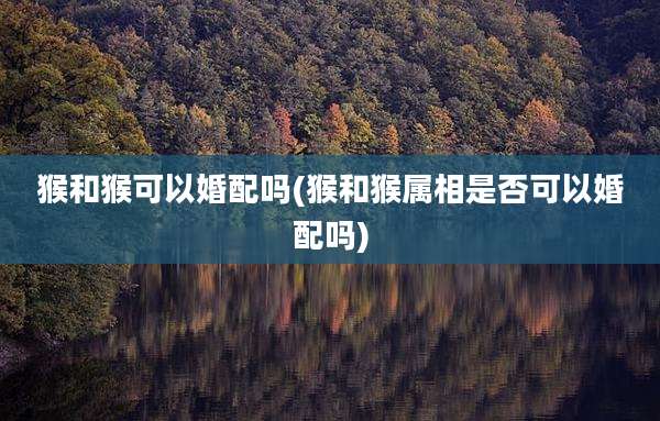 猴和猴可以婚配吗(猴和猴属相是否可以婚配吗)