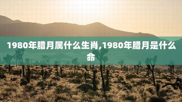 1980年腊月属什么生肖,1980年腊月是什么命