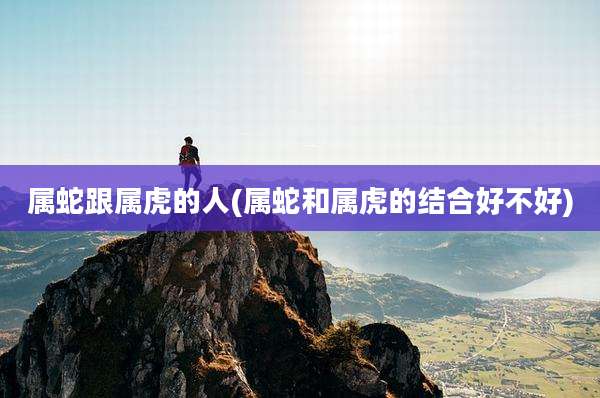 属蛇跟属虎的人(属蛇和属虎的结合好不好)