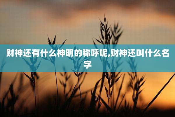 财神还有什么神明的称呼呢,财神还叫什么名字