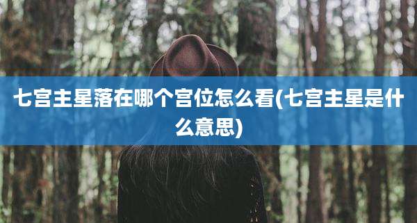 七宫主星落在哪个宫位怎么看(七宫主星是什么意思)