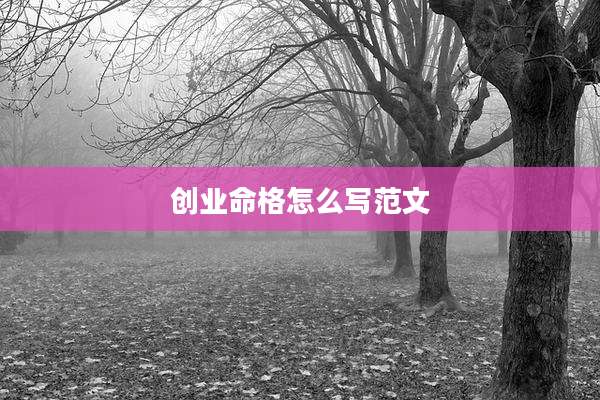 创业命格怎么写范文