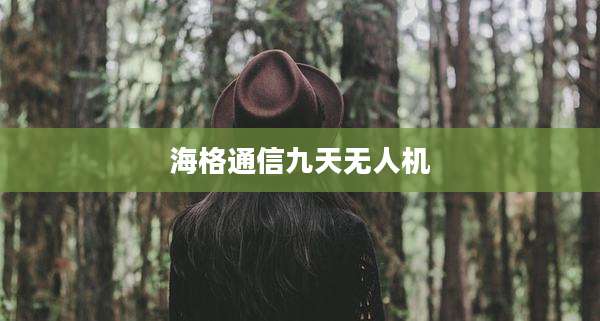 海格通信九天无人机