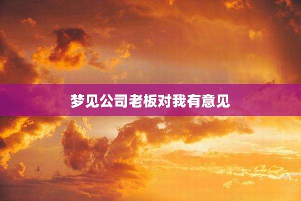 梦见公司老板对我有意见