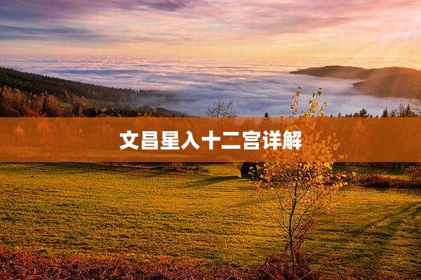 文昌星入十二宫详解