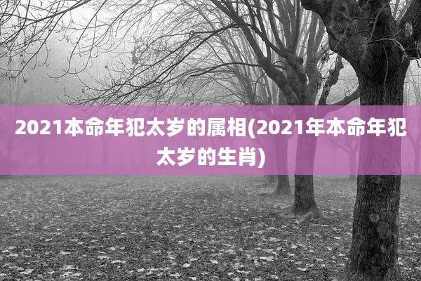 2021本命年犯太岁的属相(2021年本命年犯太岁的生肖)