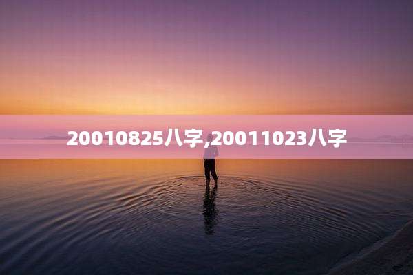 20010825八字,20011023八字
