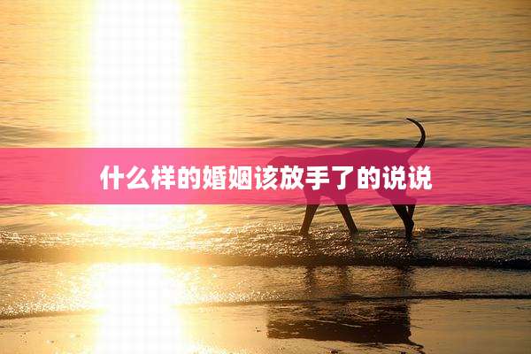 什么样的婚姻该放手了的说说