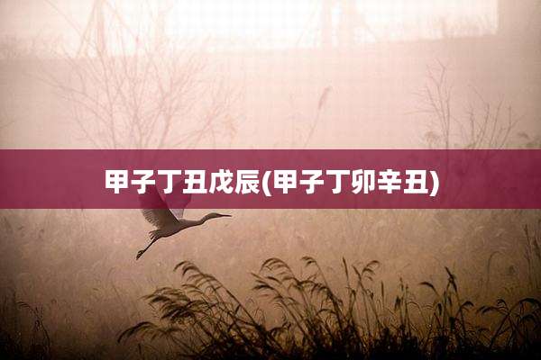 甲子丁丑戊辰(甲子丁卯辛丑)