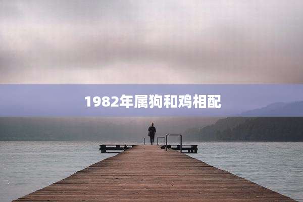 1982年属狗和鸡相配
