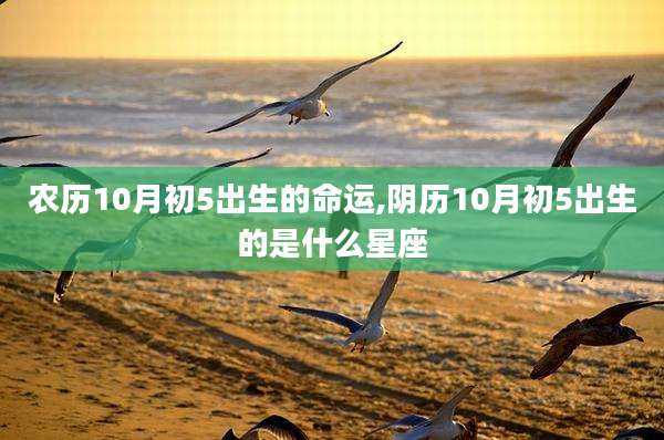 农历10月初5出生的命运,阴历10月初5出生的是什么星座